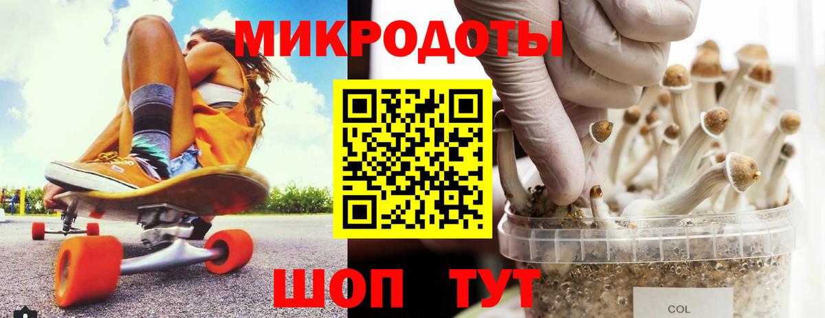 Псилоцибиновые грибы прущие грибы Костомукша
